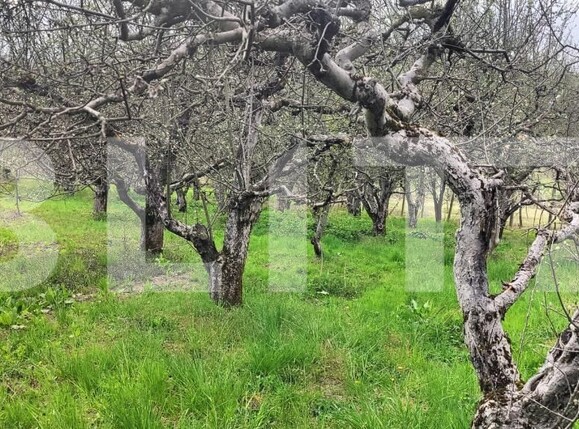 Teren de vânzare Voinesti - 192885TV | BLITZ Târgoviște | Poza7