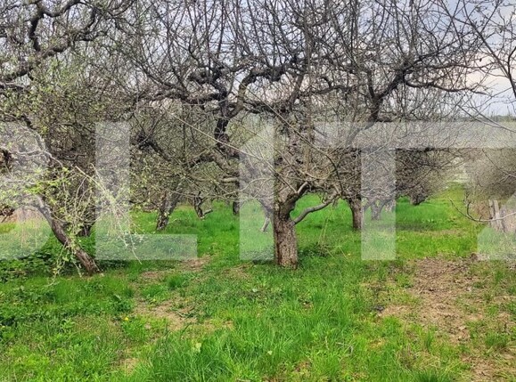 Teren de vânzare Voinesti - 192885TV | BLITZ Târgoviște | Poza15