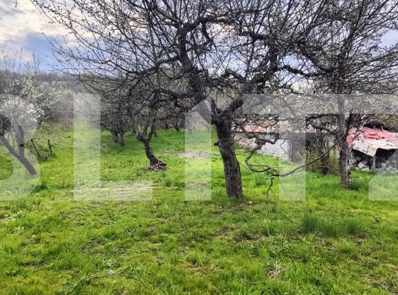 Teren de vânzare Voinesti - 192885TV | BLITZ Târgoviște | Poza11