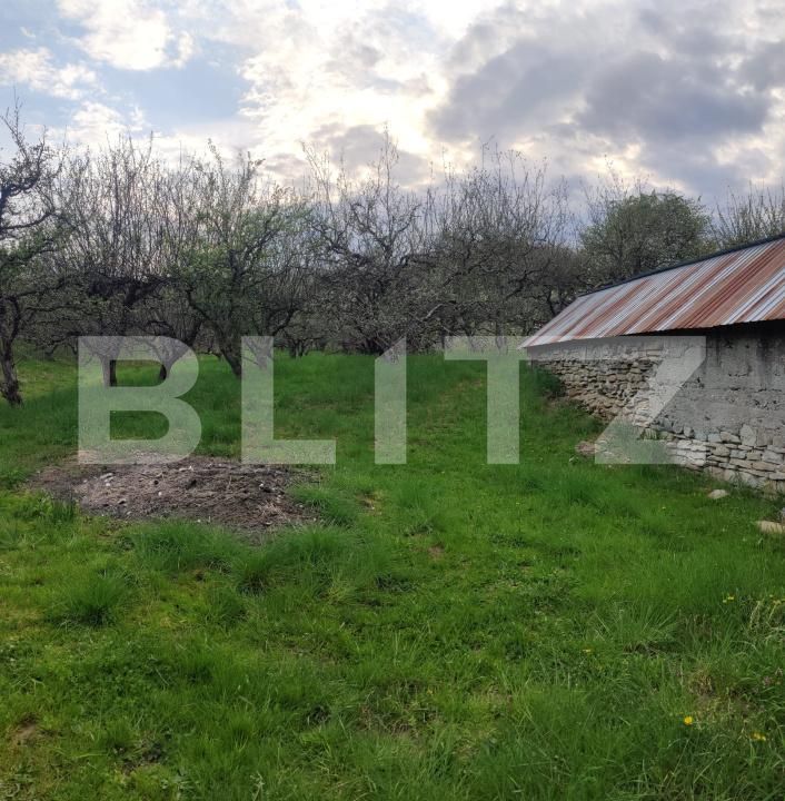 Teren de vânzare Voinesti - 192885TV | BLITZ Târgoviște | Poza12