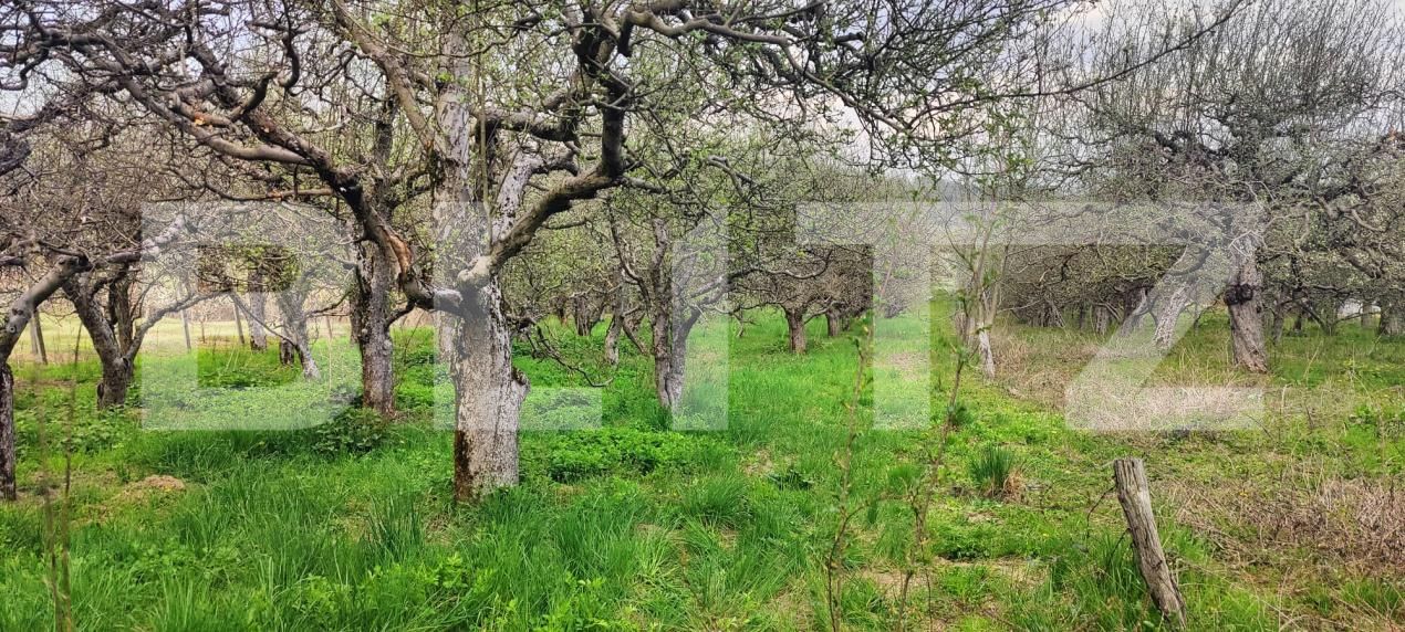 Teren de vânzare Voinesti - 192885TV | BLITZ Târgoviște | Poza8