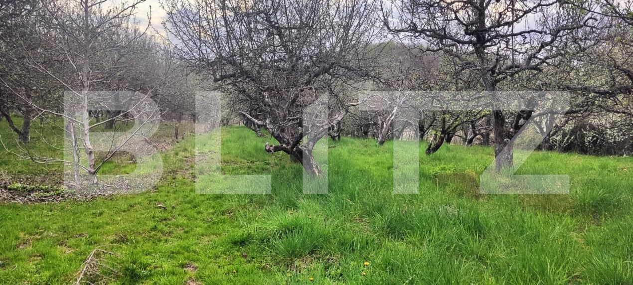 Teren de vânzare Voinesti - 192885TV | BLITZ Târgoviște | Poza9