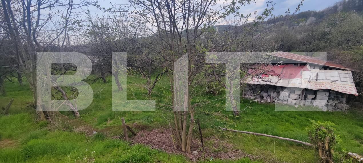 Teren de vânzare Voinesti - 192885TV | BLITZ Târgoviște | Poza5