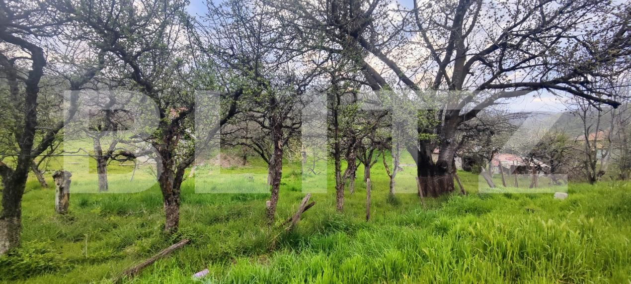 Teren de vânzare Voinesti - 192885TV | BLITZ Târgoviște | Poza3