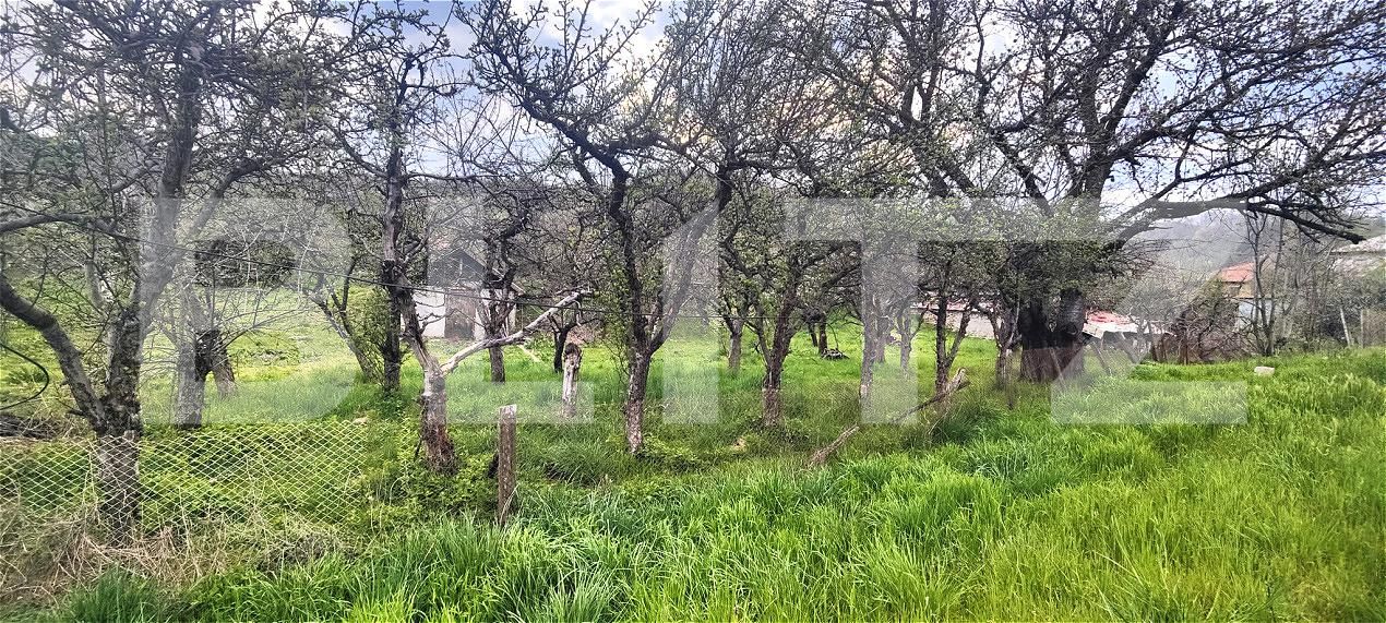 Teren de vânzare Voinesti - 192885TV | BLITZ Târgoviște | Poza2