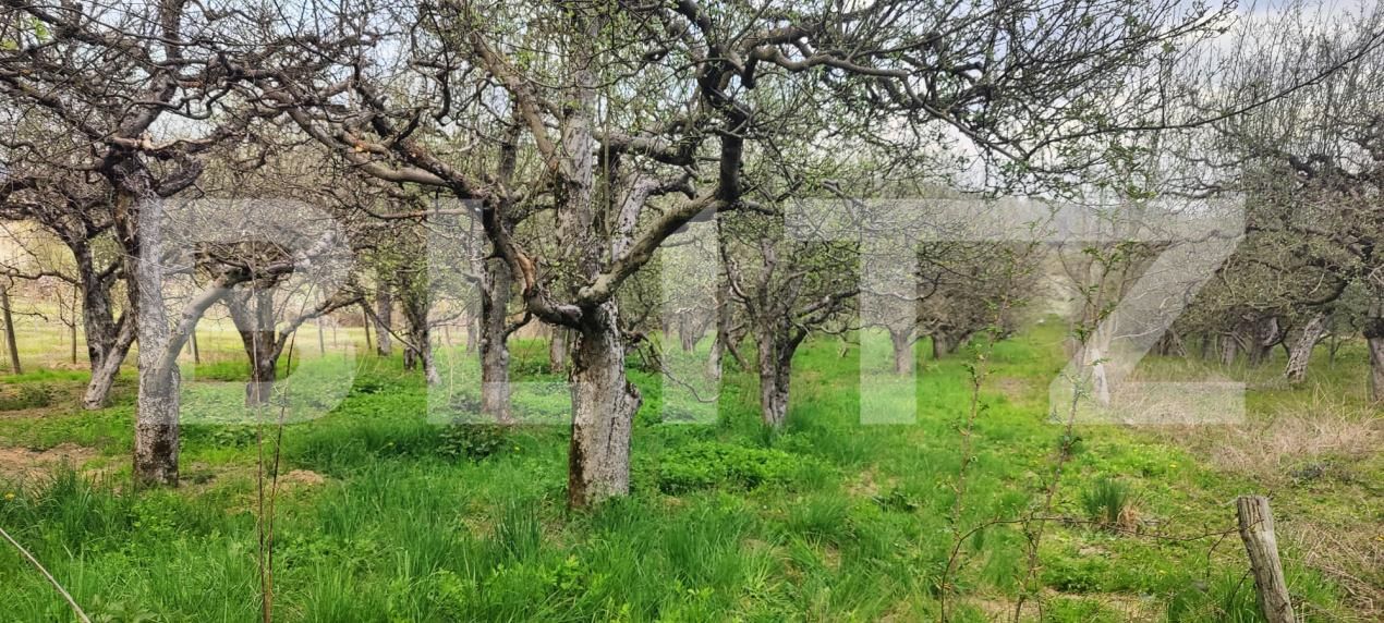 Teren de vânzare Voinesti - 192885TV | BLITZ Târgoviște | Poza10