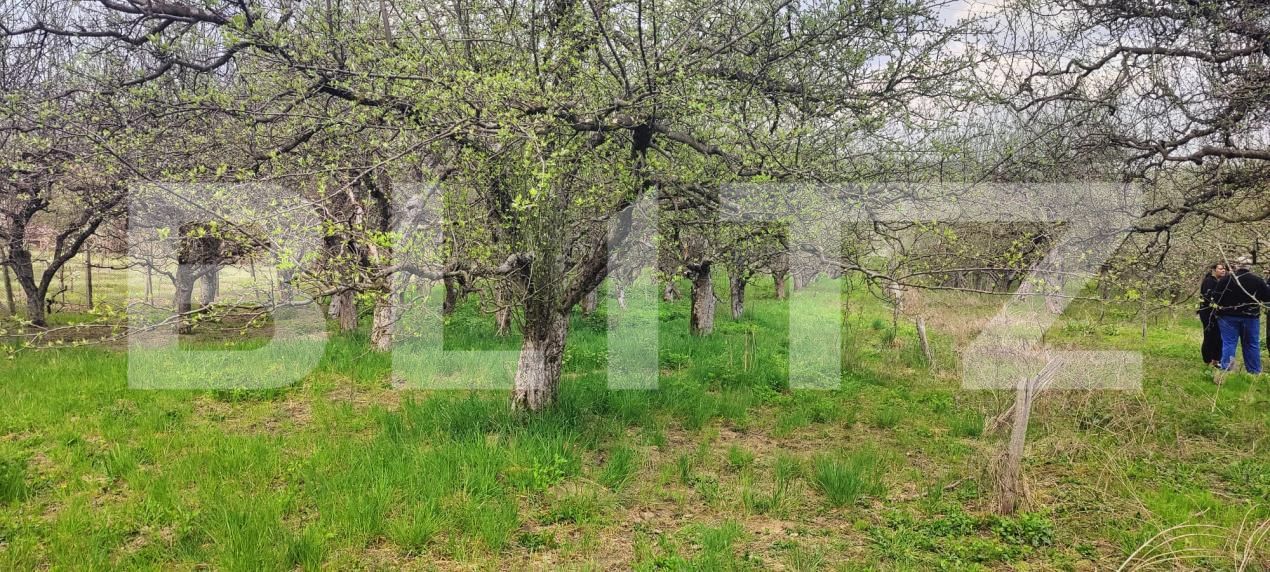 Teren de vânzare Voinesti - 192885TV | BLITZ Târgoviște | Poza16