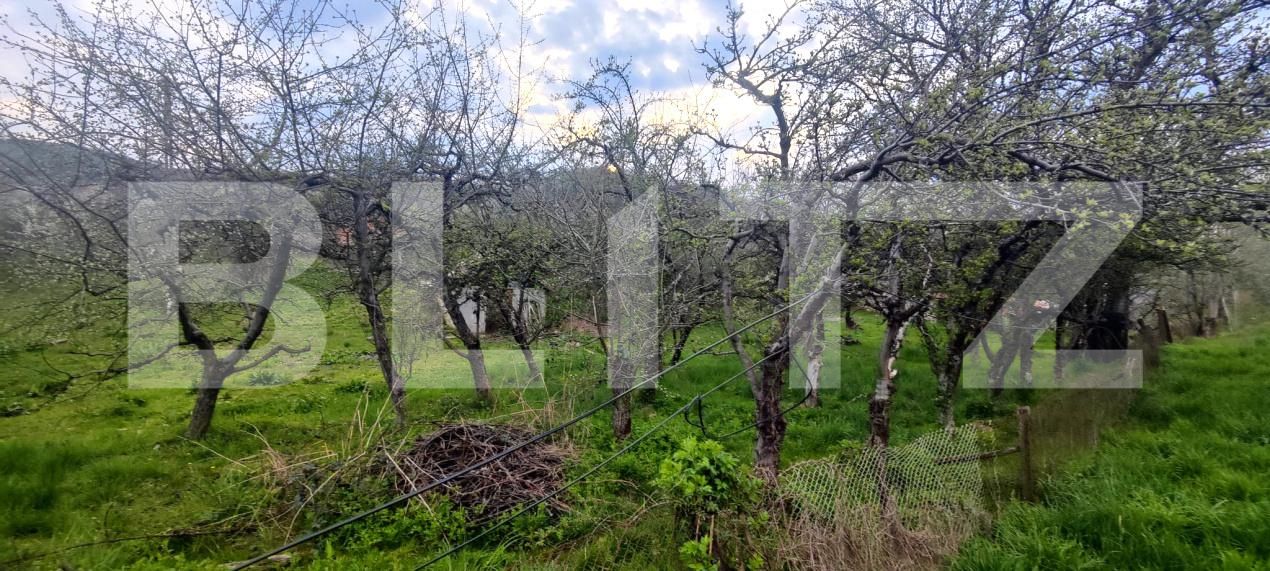 Teren de vânzare Voinesti - 192885TV | BLITZ Târgoviște | Poza4