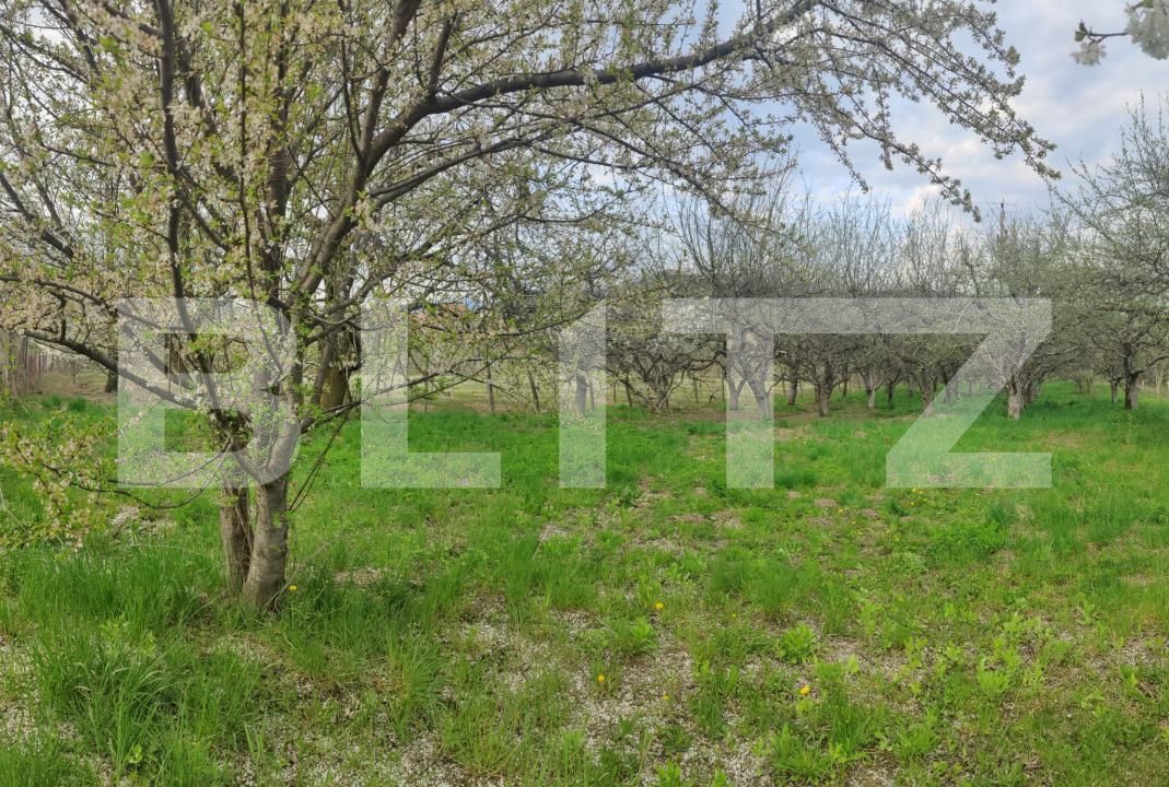 Teren de vânzare Voinesti - 192885TV | BLITZ Târgoviște | Poza18