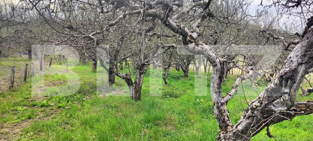 Teren de vânzare Voinesti - 192885TV | BLITZ Târgoviște | Poza7