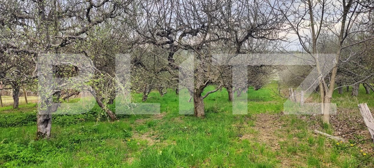 Teren de vânzare Voinesti - 192885TV | BLITZ Târgoviște | Poza15