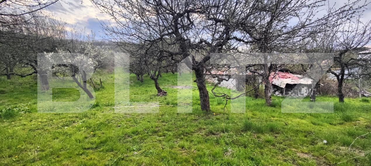 Teren de vânzare Voinesti - 192885TV | BLITZ Târgoviște | Poza11