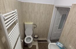 Casă de vacanță sau business, 84 mp, zona Moroieni