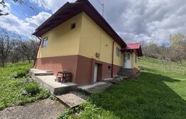 Casă de vacanță sau business, 84 mp, zona Moroieni