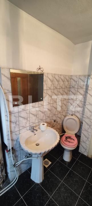 Casa de vânzare 11 camere Malu cu Flori - 193099CV | BLITZ Târgoviște | Poza16