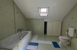 Proprietate exclusivistă | Vilă P+M, 278 mp | Teren 1654 mp | Aleea Manastirii