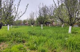 🏡 Casa Găești – Aproape de Centru, 1600 mp Teren Generos - Livada Gradina