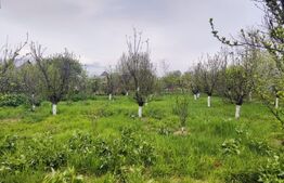 🏡 Casa Găești – Aproape de Centru, 1600 mp Teren Generos - Livada Gradina