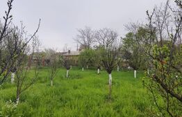 🏡 Casa Găești – Aproape de Centru, 1600 mp Teren Generos - Livada Gradina