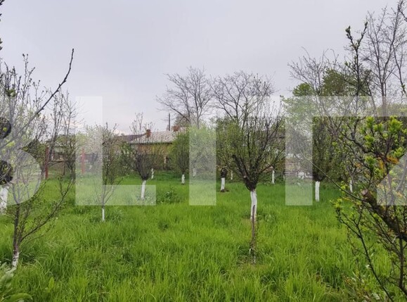 Casa de vânzare 4 camere Găeşti - 193811CV | BLITZ Târgoviște | Poza11