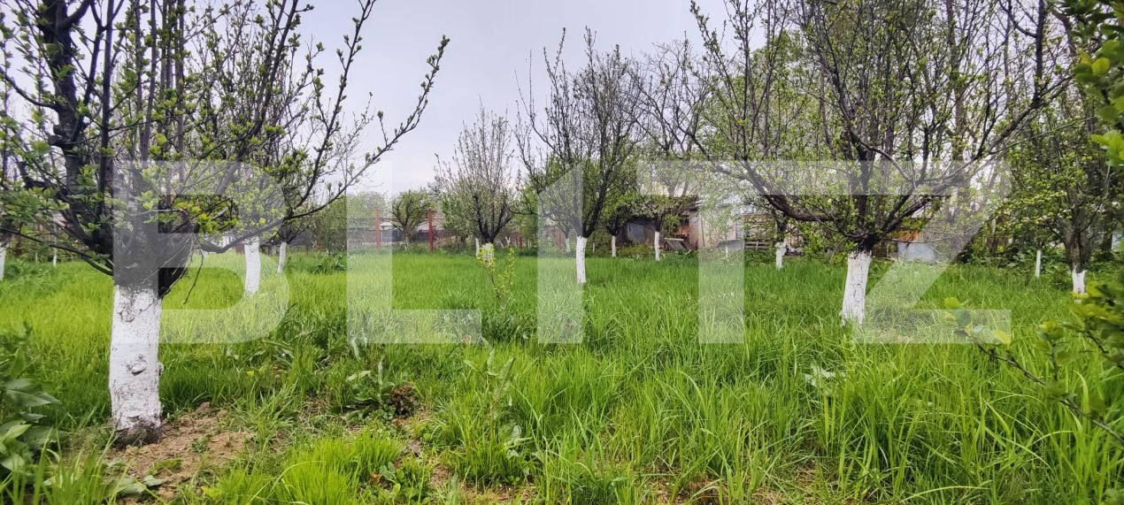 Casa de vânzare 4 camere Găeşti - 193811CV | BLITZ Târgoviște | Poza12