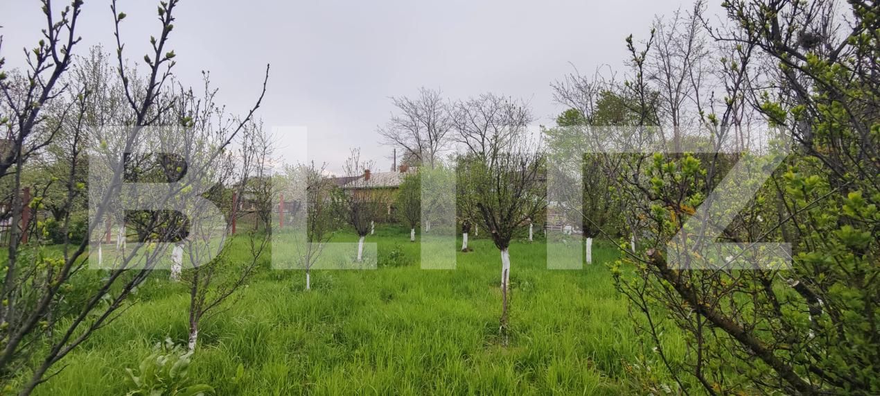 Casa de vânzare 4 camere Găeşti - 193811CV | BLITZ Târgoviște | Poza11