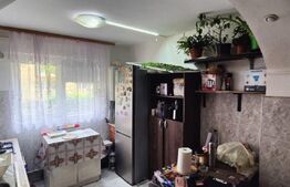 🌿 Apartament 2 camere parter + curte – renovat, eficient, Micro 4