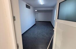 Spațiu 245 mp cu 10 parcări, curte logistică și rampă marfă – DN Raciu