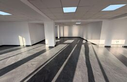 Spațiu 245 mp cu 10 parcări, curte logistică și rampă marfă – DN Raciu