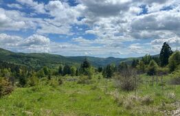 TEREN | 5000 MP | COTA 1000 | VEDERE PANORAMICA | OPORTUNITATE INVESTITIE | 