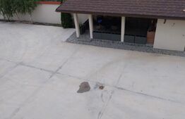 Vilă P+1+M, 654 mp utili, sat Căprioru