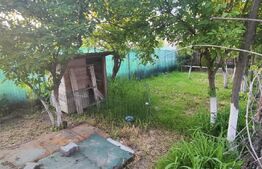 🏡✨ Casă Renovată și Modernizată | Curte Frumoasă | Zonă Liniștită