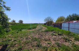 Casă în Găești, 3 dormitoare, teren 2000 mp 62000Euro