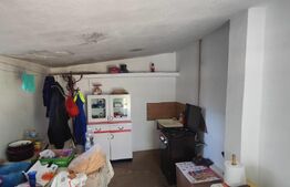 Casă cu grădină, garaj și livadă, 148 mp, zona Centru 