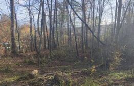 Teren de vânzare, 3.463 mp, priveliște deosebită, zonă montană Runcu 