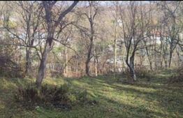 Teren de vânzare, 3.463 mp, priveliște deosebită, zonă montană Runcu 