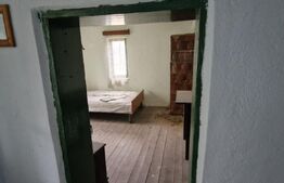 Domeniu polivalent, ideal pentru 2 familii / afacere, 300 mp, zona Sud
