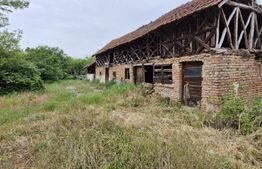Domeniu polivalent, ideal pentru 2 familii / afacere, 300 mp, zona Sud