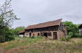 Domeniu polivalent, ideal pentru 2 familii / afacere, 300 mp, zona Sud