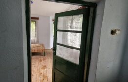 Domeniu polivalent, ideal pentru 2 familii / afacere, 300 mp, zona Sud