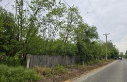 Domeniu polivalent, ideal pentru 2 familii / afacere, 300 mp, zona Sud