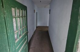 Domeniu polivalent, ideal pentru 2 familii / afacere, 300 mp, zona Sud