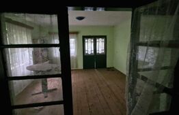Domeniu polivalent, ideal pentru 2 familii / afacere, 300 mp, zona Sud