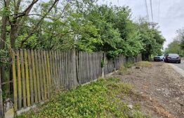 Domeniu polivalent, ideal pentru 2 familii / afacere, 300 mp, zona Sud