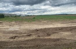 Teren intravilan, 8000 mp, DN 71 