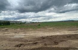 Teren intravilan, 8000 mp, DN 71 