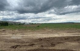 Teren intravilan, 8000 mp, DN 71 