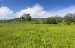Teren Panoramic 15.500 mp – Investiție sau Dezvoltare, Zona Aleea Manastirii