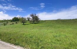 Teren Panoramic 15.500 mp – Investiție sau Dezvoltare, Zona Aleea Manastirii