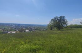 Teren Panoramic 15.500 mp – Investiție sau Dezvoltare, Zona Aleea Manastirii